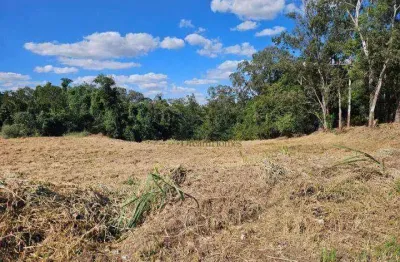 Terreno residencial à venda, bosque, vinhedo - te0878.