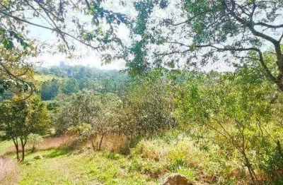 Terreno à venda no condomínio vista alegre, vinhedo/sp