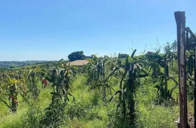 Chácara residencial à venda, reforma agrária, valinhos - ch0132.
