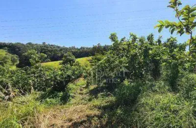 Área rural à venda, morro das pedras, valinhos - ar0088.