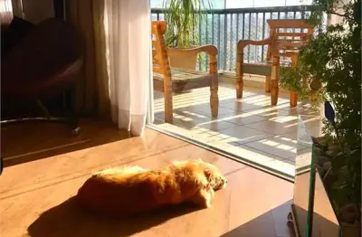 Apartamento à venda com 3 quartos, sendo 3 suítes,  no condomínio la dolce vita nuova mooca, são paulo - sp