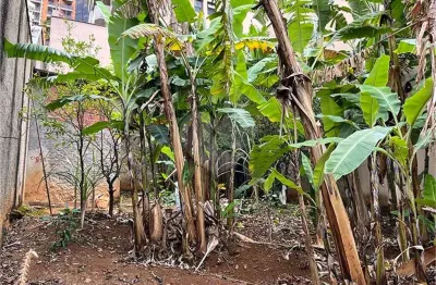 Terreno à venda na Rua Cezar Zama, Santana, São Paulo