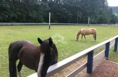 Terreno à venda na estrada do quilombo, 1000, lomba grande, novo hamburgo por r$ 249.000