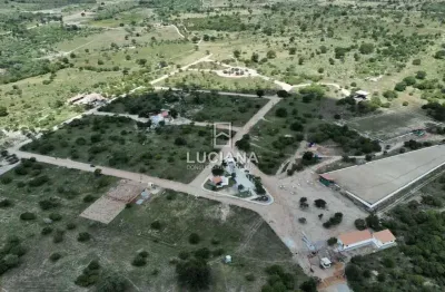 Terreno à venda na Rodovia (Rua Plácido Corrêa De Lima), 1, Zona Rural, Bezerros