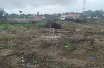 Terreno as margens da br - excelente oportunidade de investimento