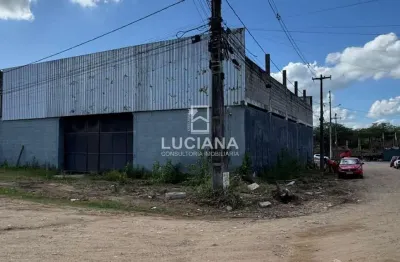 Galpão de com área de 1.000m² para locação em gravatá