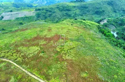 Propriedade com cerca de 45 hectares para venda - amaraji/pe!
