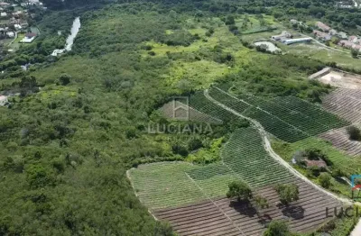 Propriedade com 33 hectares a 1.300 metros da via local