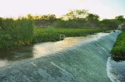 2 hectares a 2 km da br-232 para venda em gravatá/sairé