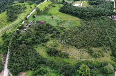 Acesso sem estrada de terra! propriedade com 7 hectares em chã grande