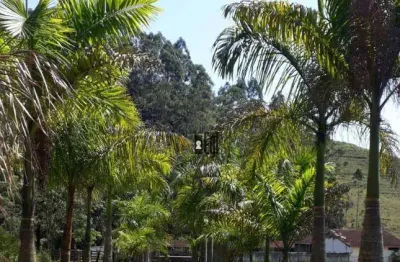 Fazenda com 9 dormitórios à venda, 3170000 m² por r$ 6.500.000,00 - rio preto - rio preto/mg