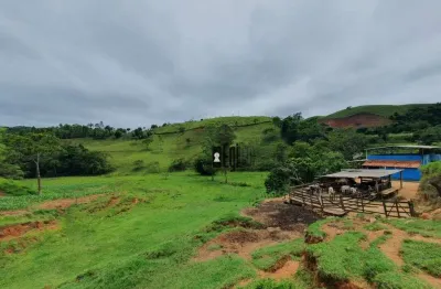 Sítio à venda, 107000 m² por r$ 850.000,00 - igrejinha - juiz de fora/mg