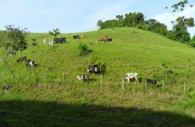 Sítio com 4 dormitórios à venda, 175000 m² por r$ 850.000,00 - ewbank da camara - ewbank da câmara/mg