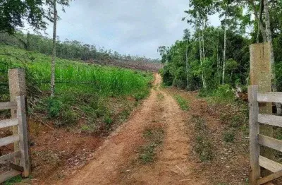 Sítio com 1 dormitório à venda, 140000 m² por r$ 370.000,00 - valadares - juiz de fora/mg