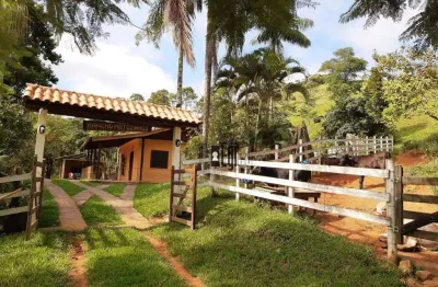 Sítio com 3 dormitórios à venda, 144000 m² por r$ 699.000,00 - centro - pedro teixeira/mg