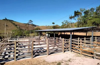 Chácara / sítio com 3 quartos à venda no Centro, Lima Duarte 