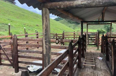 Fazenda com 4 dormitórios à venda, 700000 m² por r$ 1.450.000,00 - centro - juiz de fora/mg