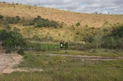 Sítio com 4 dormitórios à venda, 440000 m² por r$ 899.000,00 - distrito de mantiqueira - santos dumont/mg