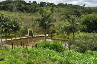 Sítio com 2 dormitórios à venda, 230000 m² por r$ 1.000.000,00 - centro - barbacena/mg