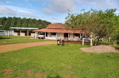 Fazenda em goianá a venda com 75 hectares - alta produção de silagem além de excelente para pecuária - fácil acesso!