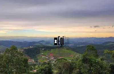 Terreno à venda, 2600 m² por r$ 480.000,00 - novo horizonte - juiz de fora/mg