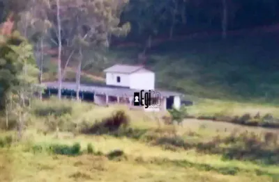 Fazenda com 5 dormitórios à venda, 1250000 m² por r$ 4.000.000,00 - centro - argirita/mg