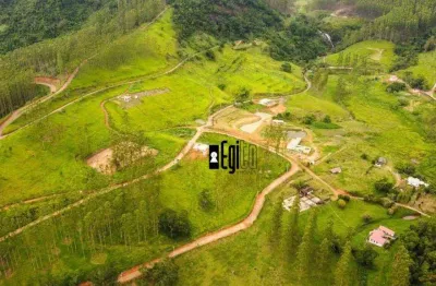 Terreno à venda, 20000 m² por r$ 219.000 - coronel pacheco - coronel pacheco/mg