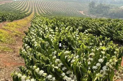 Fazenda com 1 dormitório à venda, 1510000 m² por R$ 60.000.000,00 - Vila Pinto - Varginha/MG