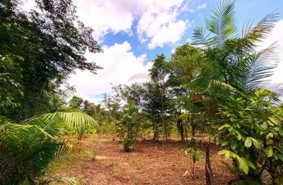Fazenda de plantação de cacau à venda na zona rural de barcarena