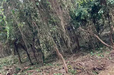 Terreno a venda -residencial refúgio dos amigos/vargem grande paulista