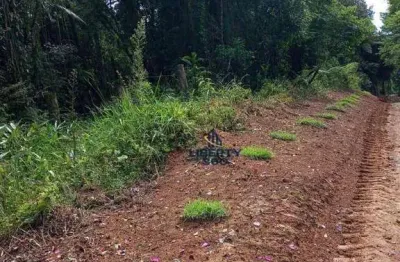 Área à venda, 193600 m² por r$ 500.000,00 - turvo - piedade/sp