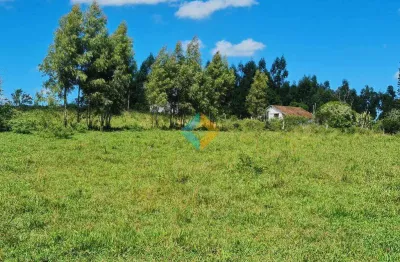 Fazenda com 6 quartos, monteiros, araruama - r$ 8.9 mi, cod: 1808