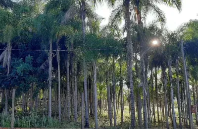 Área rural para venda em jaraguari, rural, 3 dormitórios, 3 banheiros
