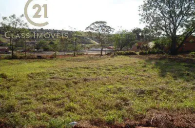 Terreno à venda e para alugar em londrina, columbia