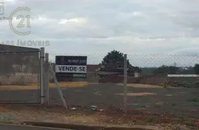 Terreno à venda em londrina, vila santa terezinha, com 888 m²