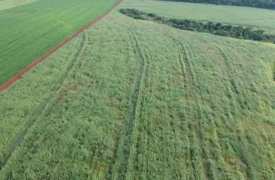 Fazenda à venda em leópolis, centro, com 1 quarto, com 78 alqueires