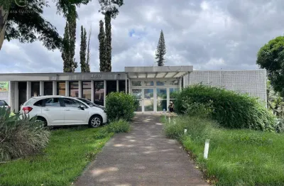 Prédio para alugar em londrina, vila ipiranga, com 1483 m²