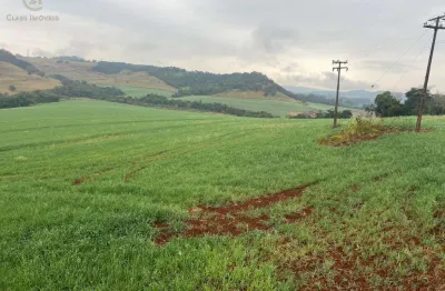 Chácara / sítio à venda no Jardim Maravilha, Londrina 