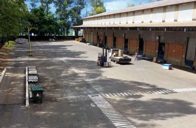 Barracão para alugar em londrina, estância dlaville, com 12500 m²