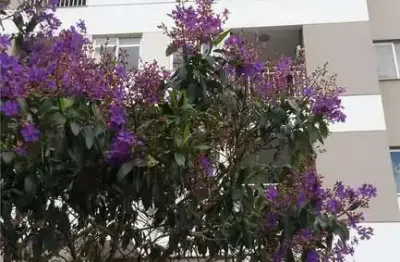 Apartamento à venda em londrina, aurora, com 3 quartos, com 69.76 m²