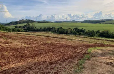 Sítio à venda em londrina, conjunto habitacional jamile dequech, com 96800 m²