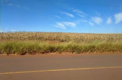 Sítio à venda em londrina, conjunto vivi xavier, com 1 m²