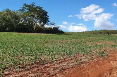 Terreno à venda no Centro, Sertanópolis 