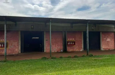 Barracão / Galpão / Depósito para alugar no Selva, Londrina 