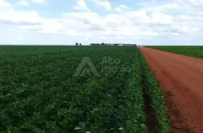 Fazenda com 21 mil hectares | á venda | terezinha - pi