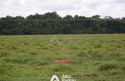 Fazenda á venda | 90.527 alqueire | são felix do araguaia -mg