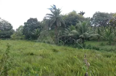 Chácara / sítio à venda na Área Rural, 1632, Área Rural de São Lourenço da Mata, São Lourenço da Mata