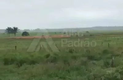 Fazenda no município de bom jesus das selvas-maranhão