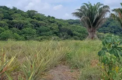 Fazenda à venda na Avenida José Bezerra, S/n, Centro, Tamandaré