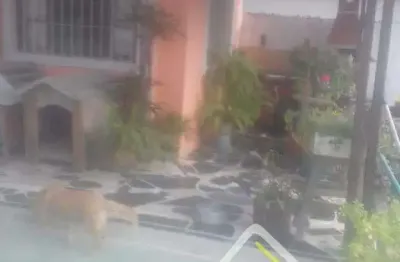 Casa para venda em mongaguá, vera cruz monguaguá, 3 dormitórios, 2 banheiros, 2 vagas
